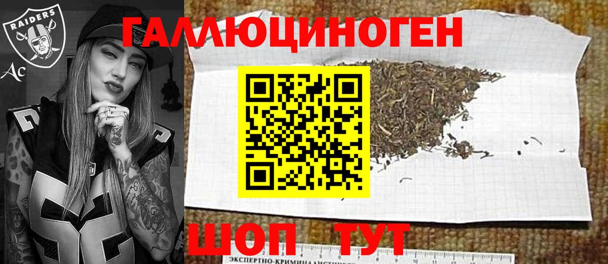 Псилоцибиновые грибы GOLDEN TEACHER Унеча