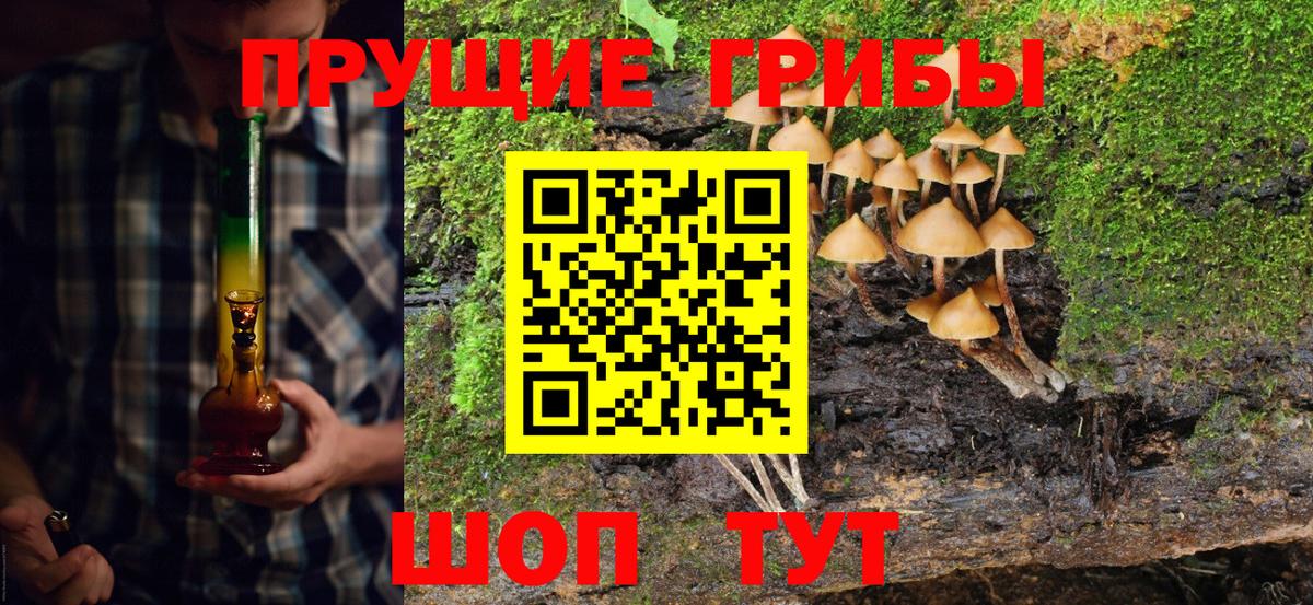 Галлюциногенные грибы мицелий  Вход с VPN  Унеча  Псилоцибиновые грибы MAGIC MUSHROOMS 